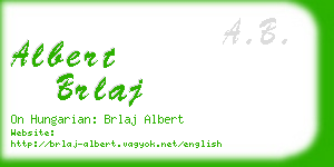 albert brlaj business card